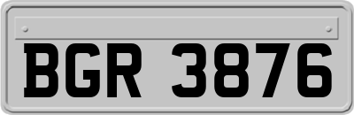 BGR3876
