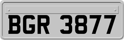 BGR3877