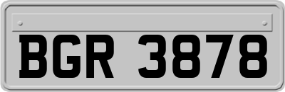 BGR3878