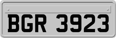 BGR3923