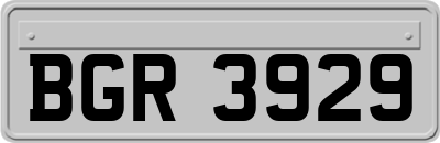 BGR3929