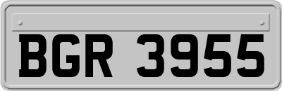 BGR3955