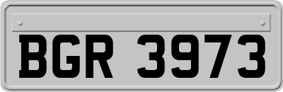 BGR3973