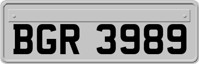 BGR3989