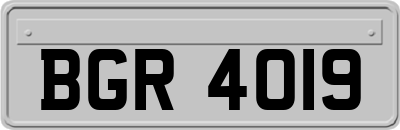 BGR4019