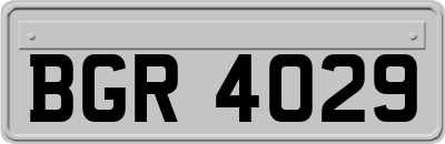 BGR4029
