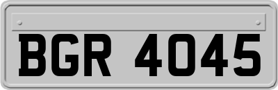 BGR4045