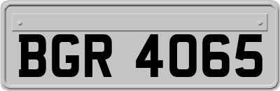 BGR4065