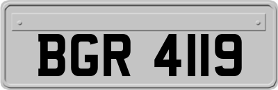 BGR4119