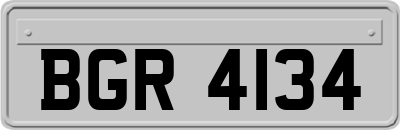 BGR4134