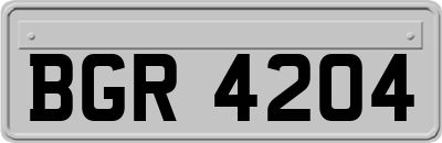 BGR4204