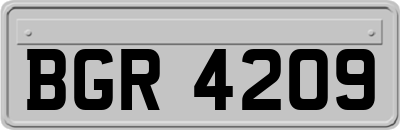 BGR4209