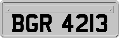 BGR4213