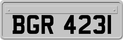 BGR4231