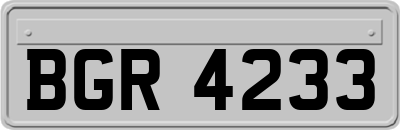 BGR4233
