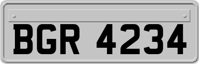 BGR4234