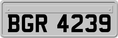 BGR4239