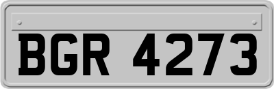 BGR4273