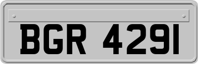 BGR4291