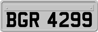 BGR4299