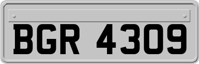 BGR4309