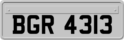 BGR4313