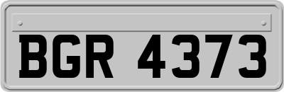BGR4373