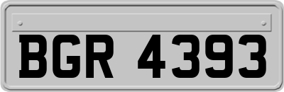 BGR4393