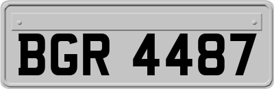 BGR4487