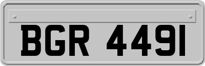BGR4491
