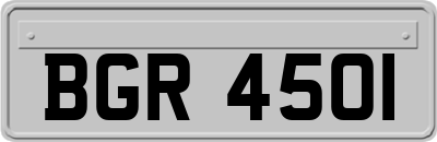 BGR4501