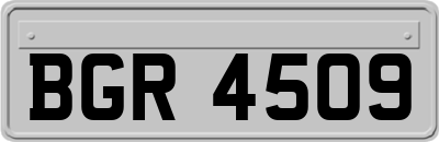 BGR4509