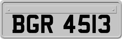 BGR4513