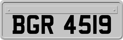 BGR4519