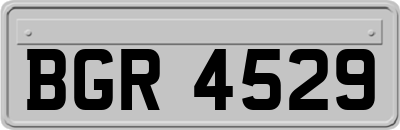 BGR4529