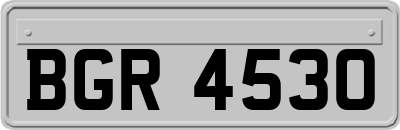BGR4530