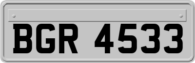 BGR4533