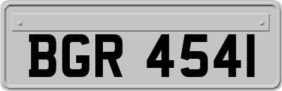 BGR4541