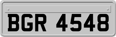 BGR4548