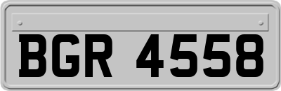 BGR4558