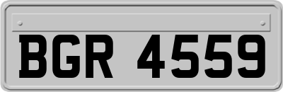 BGR4559