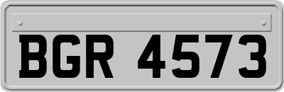 BGR4573