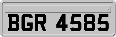 BGR4585