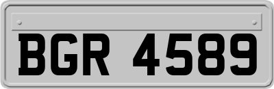 BGR4589