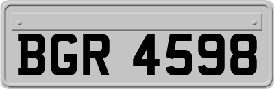 BGR4598