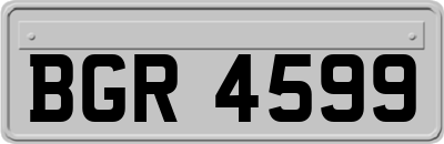 BGR4599