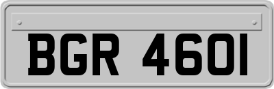 BGR4601