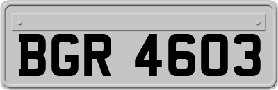 BGR4603