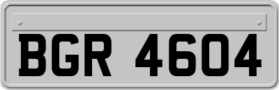 BGR4604