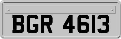 BGR4613